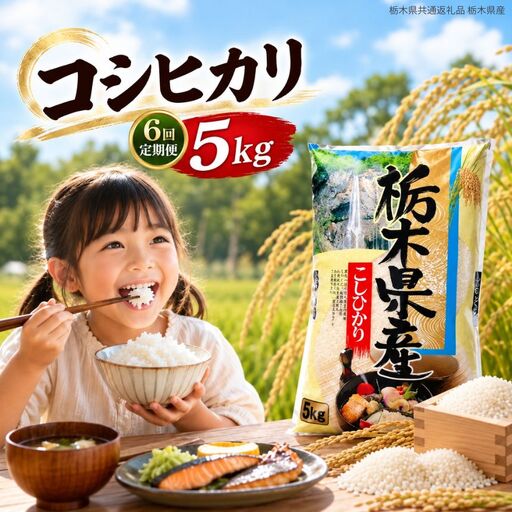 【定期6回】令和8年度産 栃木県産 こしひかり 5kg 【栃木県共通返礼品】