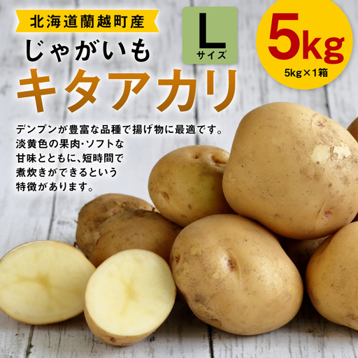 じゃがいも ( キタアカリ ) Lサイズ 約5kg × 1箱 約5kg ( JA ) ジャガイモ ポテト いも イモ 芋 野菜 やさい 揚げ物 フライ デンプン 煮物 国産 北海道産 [ 2026年9月下旬〜12月下旬迄発送予定 ]