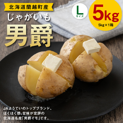 じゃがいも ( 男爵 ) Lサイズ 約5kg × 1箱 約5kg ( JA ) ジャガイモ ポテト いも イモ 芋 男爵イモ 野菜 やさい 甘味 ホクホク 国産 北海道産 [ 2026年9月下旬〜2027年2月下旬迄発送予定 ]