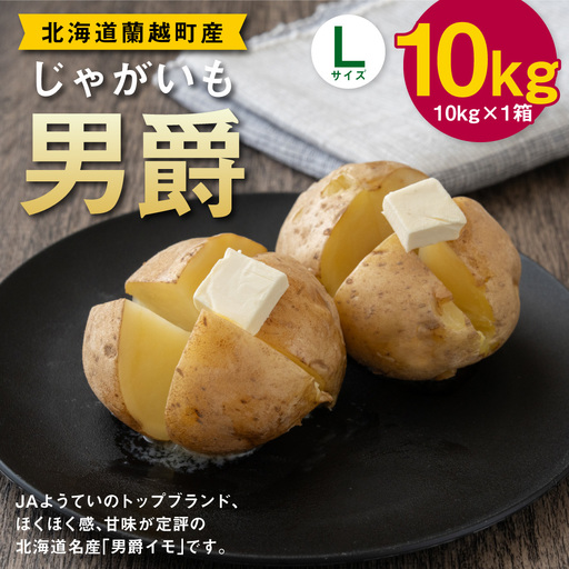 じゃがいも （ 男爵 ） Lサイズ 約10kg × 1箱 約10kg （ JA ） ジャガイモ ポテト いも イモ 芋 男爵イモ 野菜 やさい 甘味 ホクホク 国産 北海道産 【 2026年9月下旬～2027年2月下旬迄発送予定 】