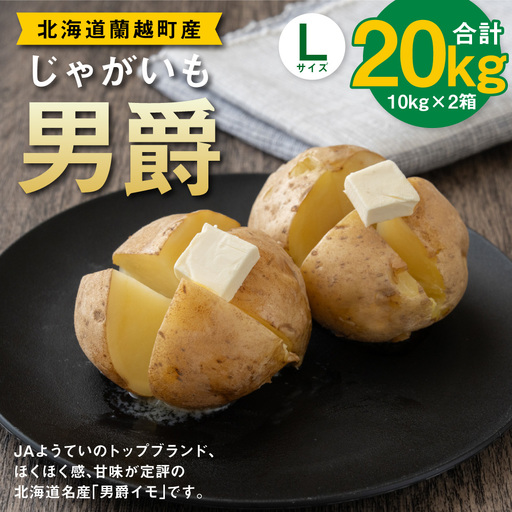 じゃがいも （ 男爵 ） Lサイズ 約10kg × 2箱 約20kg （ JA ） ジャガイモ ポテト いも イモ 芋 男爵イモ 野菜 やさい 甘味 ホクホク 国産 北海道産 【 2026年9月下旬～2027年2月下旬迄発送予定 】