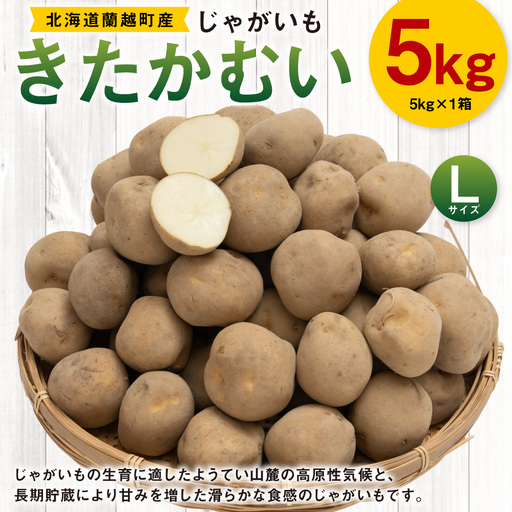 じゃがいも ( きたかむい ) Lサイズ 約5kg × 1箱 約5kg ( JA ) ジャガイモ ポテト いも イモ 芋 野菜 やさい 煮物 なめらか食感 長期貯蔵 国産 北海道産 [ 2027年1月上旬〜2月下旬迄発送予定 ]