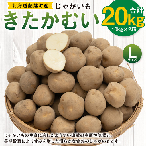 じゃがいも （ きたかむい ） Lサイズ 約10kg × 2箱 約20kg （ JA ） ジャガイモ ポテト いも イモ 芋 野菜 やさい 煮物 なめらか食感 長期貯蔵 国産 北海道産 【 2027年1月上旬～2月下旬迄発送予定 】