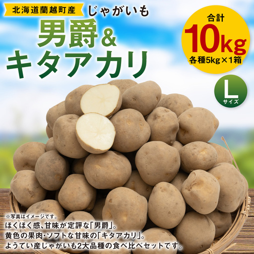 じゃがいも ( 男爵 ) Lサイズ 約5kg × 1箱 ・ じゃがいも ( キタアカリ ) Lサイズ 約5kg × 1箱 ( JA ) 計10kg ジャガイモ ポテト いも イモ 芋 男爵イモ 野菜 やさい 食べ比べ 詰め合わせ セット 国産 北海道産 [ 2026年9月下旬〜12月下旬迄発送予定 ]