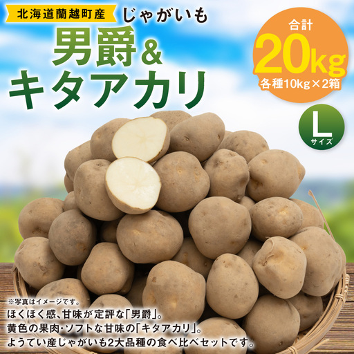 じゃがいも （ 男爵 ） Lサイズ 約10kg × 1箱 ・ じゃがいも （ キタアカリ ） Lサイズ 約10kg × 1箱 （ JA ） 計約20kg ジャガイモ ポテト いも イモ 芋 男爵イモ 野菜 やさい 食べ比べ 詰め合わせ セット 国産 北海道産 【 2026年9月下旬～12月下旬迄発送予定 】
