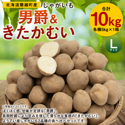 じゃがいも ( 男爵 ) Lサイズ 約5kg × 1箱 ・ じゃがいも ( きたかむい ) Lサイズ 約5kg × 1箱 ( JA ) 計10kg ジャガイモ ポテト いも イモ 芋 男爵イモ 野菜 やさい 食べ比べ 詰め合わせ セット 国産 北海道産 [ 2027年1月上旬〜2月下旬迄発送予定 ]