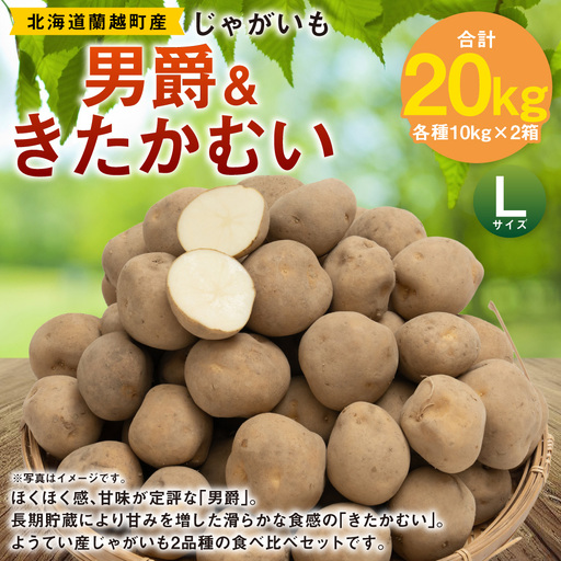 じゃがいも （ 男爵 ） Lサイズ 約10kg × 1箱 ・ じゃがいも （ きたかむい ） Lサイズ 約10kg × 1箱 （ JA ） 計約20kg ジャガイモ ポテト いも イモ 芋 男爵イモ 野菜 やさい 食べ比べ 詰め合わせ セット 国産 北海道産 【 2027年1月上旬～2月下旬迄発送予定 】