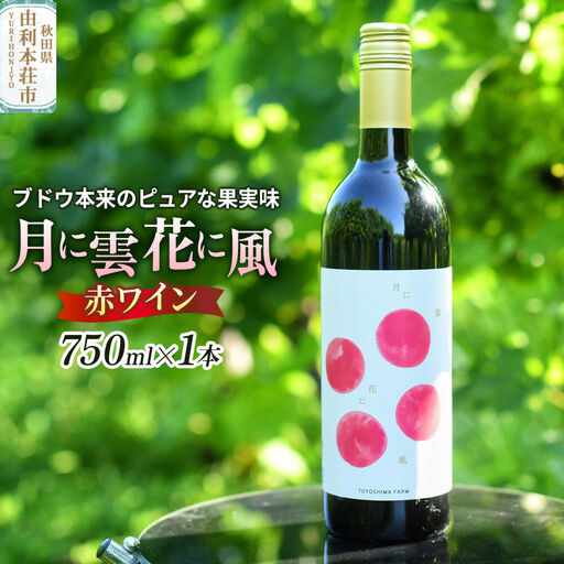 赤ワイン「月に雲 花に風」(スティルワイン赤)750ml×1本