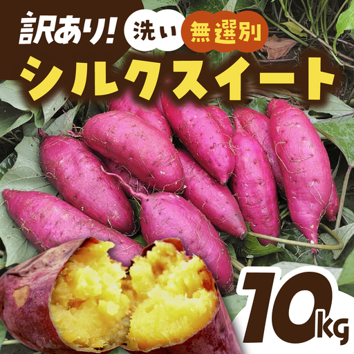【訳あり】洗いさつまいも(無選別) 10kg 茨城県ひたちなか市産 | 新物 シルクスイート しるくすいーと