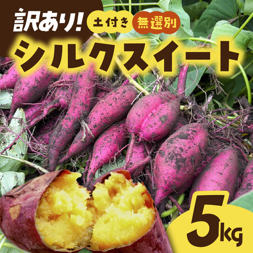 [訳あり]土付きさつまいも シルクスイート (無選別) 5kg | 新物 シルクスイート しるくすいーと