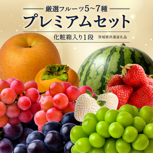 【化粧箱入り1段】厳選フルーツ 5〜7種プレミアムセット（茨城県共通返礼品） 贅沢 旬の果物 ギフト 贈り物
