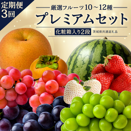 定期便【化粧箱入り2段】厳選フルーツ10〜12種プレミアムセット【毎月1回連続3か月(計3回)】（茨城県共通返礼品） 旬の果物 ギフト