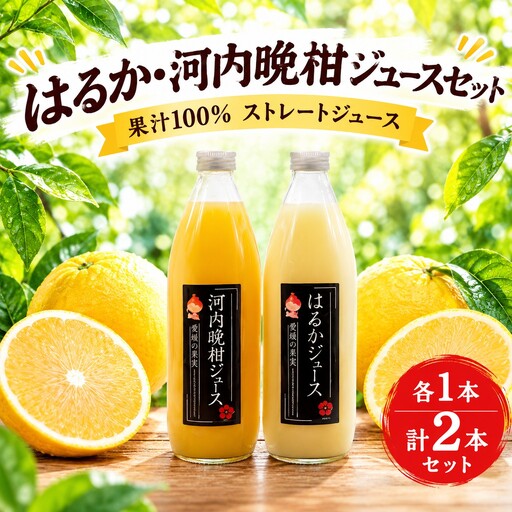 果汁100% ストレートジュース はるかジュース 河内晩柑 各1本 計2本 セット (1000ml×2本) 7000円 数量限定 期間限定 高級 贈答 ギフト プレゼント 母の日 おやつ 国産 フルーツ 果物 柑橘 産地直送 農家直送 特産品 完熟 濃厚 人気 限定 甘い こどもの日 ジューシー 新鮮 果実 さわやか 愛媛県 愛南町 あいなんマザーズ