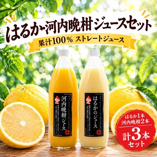 果汁100% ストレートジュース はるかジュース 1本 河内晩柑 2本 計3本 セット (1000ml×3本) 10000円 数量限定 期間限定 高級 贈答 ギフト プレゼント 母の日 おやつ 国産 フルーツ 果物 柑橘 産地直送 農家直送 特産品 完熟 濃厚 人気 限定 甘い こどもの日 ジューシー 新鮮 果実 さわやか 愛媛県 愛南町 あいなんマザーズ