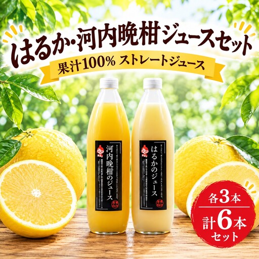 果汁100% ストレートジュース はるかジュース 河内晩柑 各3本 計6本 セット (1000ml×6本) 18000円 数量限定 期間限定 高級 贈答 ギフト プレゼント 母の日 おやつ 国産 フルーツ 果物 柑橘 産地直送 農家直送 特産品 完熟 濃厚 人気 限定 甘い こどもの日 ジューシー 新鮮 果実 さわやか 愛媛県 愛南町 あいなんマザーズ