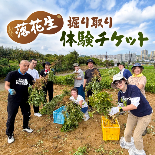 落花生の掘り取り体験チケット 7株分 [kw0208-0002]