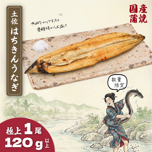 限定 国産 鰻 土佐はちきん うなぎ 白焼き 120g以上 | 白焼き しらやき 特上 極上 めす 贈答 南国市