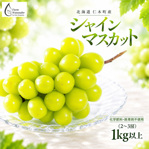 [2026年産]北海道 仁木町産 シャインマスカット 1kg以上 (2〜3房) 化学肥料・除草剤不使用 ぶどう フルーツ 果物 くだもの [Farm Watanabe]