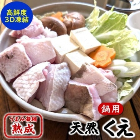 幻の高級魚 天然本クエ鍋用 500g(2〜3人前)熟成 旨味凝縮 高鮮度3D凍結 大型使用[配送不可地域:離島]