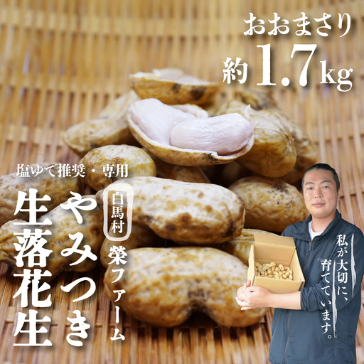 [白馬産]やみつき落花生 おおまさり約1.7kg /長野県白馬村産