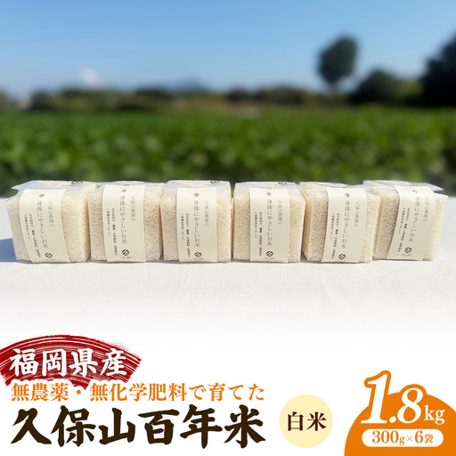 令和8年産【先行予約】無農薬・無化学肥料で育てた久保山百年米 真空パック 白米 1.8kg(300g×6袋) 元気つくし【精米 お米 米 ご飯 ごはん ブランド 元気つくし 農家直送 福岡県 筑前町 BT051】