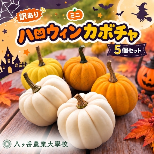[訳あり] ハロウィンカボチャ ミニ 5個セット | 八ヶ岳農業大学校