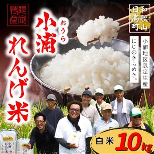 【令和8年産 新米】小浦れんげ米(にじのきらめき) 精米(白米) 10kg【1780787】