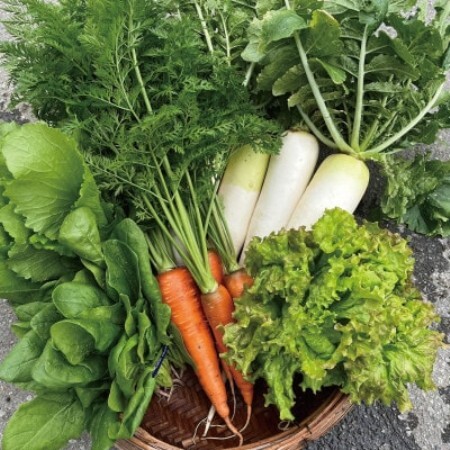 [有機JAS認証]本然農園の採れたて野菜セット5kg[配送不可地域:離島]