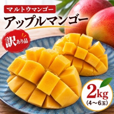 [2027年6月下旬から順次発送]マルトウマンゴーの訳ありアップルマンゴー2kg[配送不可地域:離島]