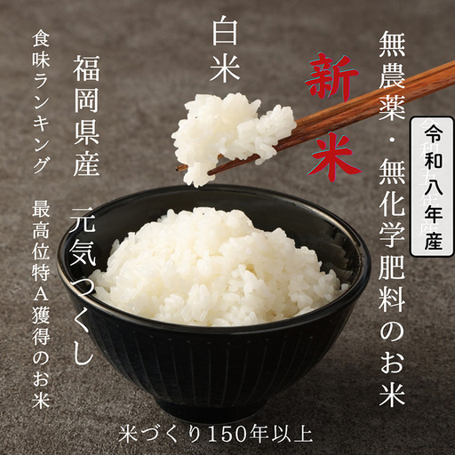 令和8年産【先行予約】無農薬・無化学肥料で育てた久保山百年米 白米 6kg(2kg×3袋) 元気つくし【精米 お米 米 ご飯 ごはん ブランド 元気つくし 農家直送 福岡県 筑前町 BT064】