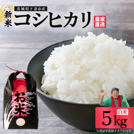 精米 5kg 令和8年産 コシヒカリ 茨城県 下妻市産