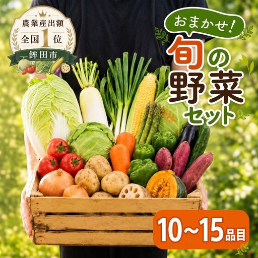 野菜セット 詰め合わせ おまかせ 10〜15品目 野菜セット