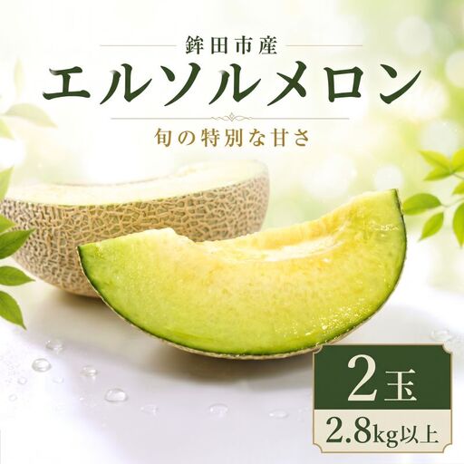 【2027年先行予約】 エルソルメロン 2玉 2.8kg以上 青肉メロン