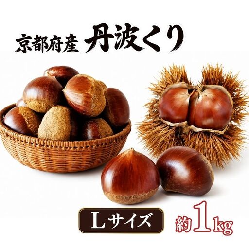 先行予約 2026年度産 丹波くり 約1kg Lサイズ 京都