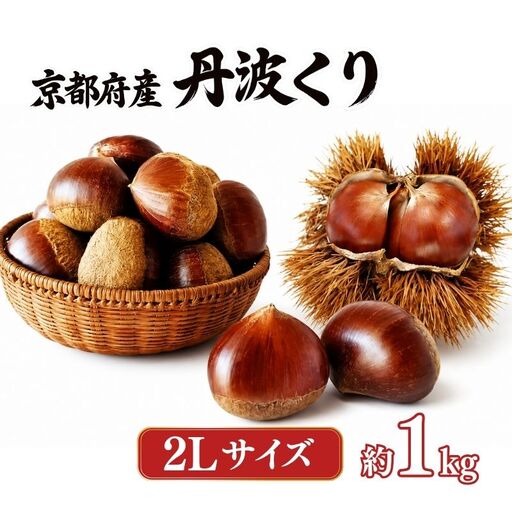 先行予約 2026年度産 丹波くり 約1kg 2Lサイズ 丹波栗 京都