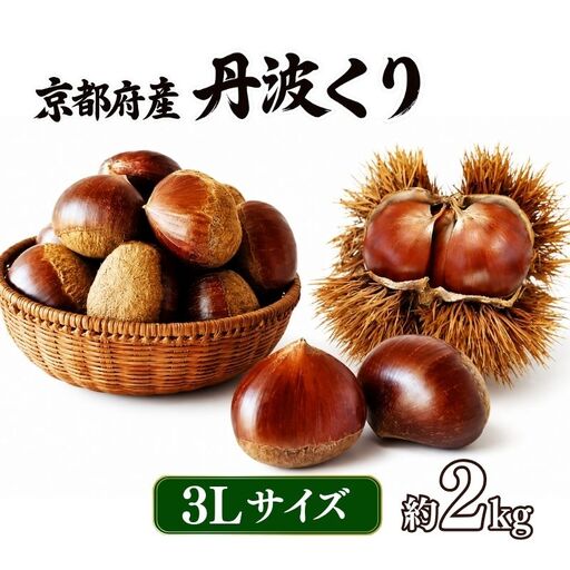 丹波くり 約2kg 3Lサイズ 栗 京都