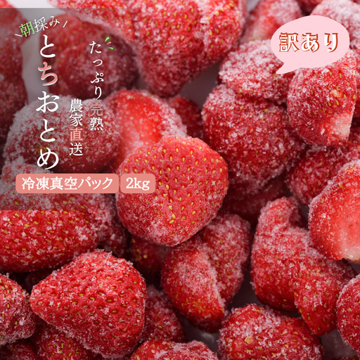 【訳あり/2027年3月より発送】完熟朝摘みとれたての冷凍いちご　とちおとめ　約2kg（500g×4パック）　農家直送の冷凍苺を真空パックでお届け 20260709～