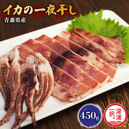 いか 一夜干し 450g いか