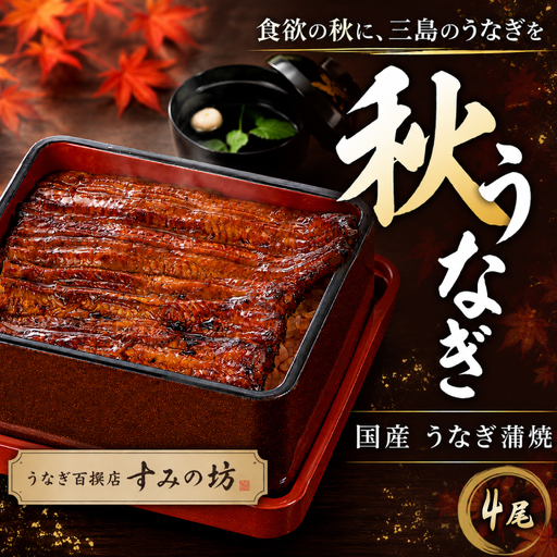 【秋うなぎ】 国産 うなぎの蒲焼き 4尾 すみの坊