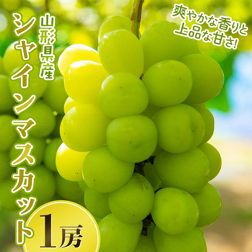FYN6-636 山形県産 大粒ぶどう シャインマスカット 1房(700g) 種無し 葡萄 ぶどう ブドウ マスカット 果物 くだもの フルーツ 贈答 贈り物 ギフト プレゼント 自宅 家庭 山形県 西川町 月山