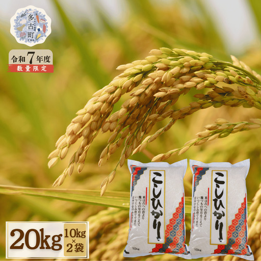 [令和7年産]千葉県産 コシヒカリ 精米 20kg(10kg×2袋)[配送不可地域:離島・沖縄県]MT207674_02101001