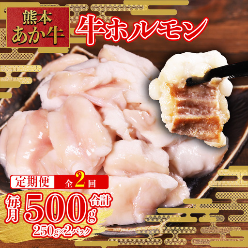 [定期便2回]希少な和牛ホルモン! 熊本和牛 あか牛 ホルモン 500g (250g×2パック) × 2回