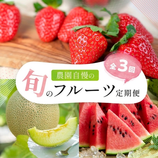 農園自慢の旬のフルーツ 定期便[配送不可地域:北海道・青森・秋田・岩手・沖縄・離島][8054-3]