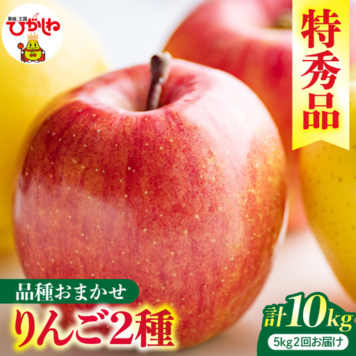 2回定期便 2026年産 りんご 5㎏×2回 品種お任せ りんご