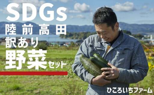 農家のおすそわけ（訳アリ）野菜便（お試し）【 農家 野菜詰め合わせ 野菜 詰め合わせ セット 訳あり 】 RT3404