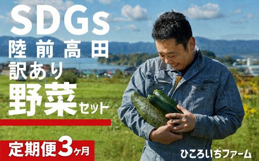 【定期便3ヶ月】農家のおすそわけ（訳アリ）野菜便【 農家 野菜詰め合わせ 野菜 詰め合わせ セット 訳あり 】RT3404