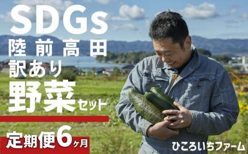 【定期便6ヶ月】農家のおすそわけ（訳アリ）野菜便【 農家 野菜詰め合わせ 野菜 詰め合わせ セット 訳あり 】RT3404