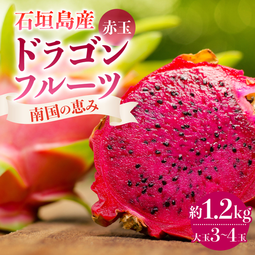 【南国の恵み】石垣島産色鮮やかな赤ドラゴンフルーツ 大玉3～4玉 約1.2kg