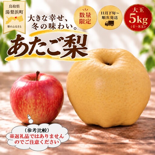 梨 あたご 愛宕 5kg 鳥取県産 | 14MZ