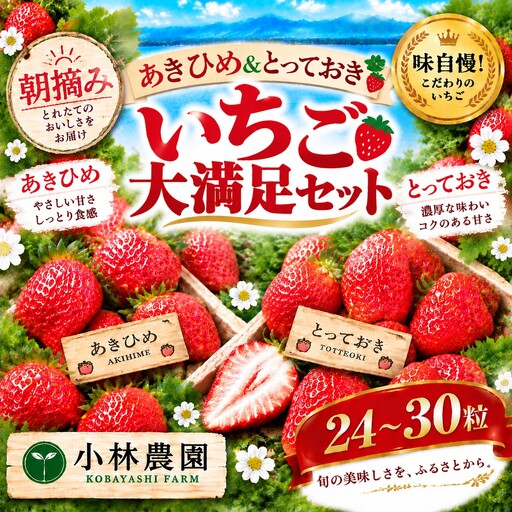 いちご 24〜30粒 苺 イチゴ 大満足 セット 章姫 あきひめ とっておき 産地直送 鳥取県 | 24MZ